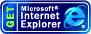 Internet Explorer̃TCgփN